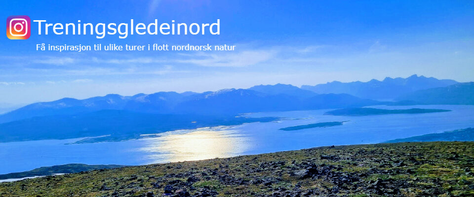 treningsgledeinord.no